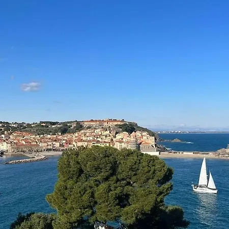 Vue Exceptionnelle Sur La Baie De Collioure