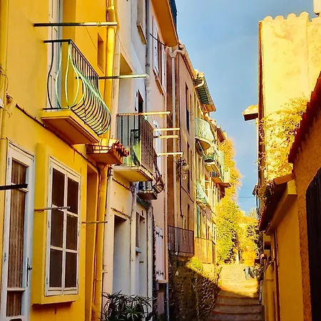 Vue Exceptionnelle Sur La Baie De Appartamento Collioure