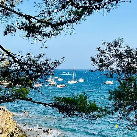 Vue Exceptionnelle Sur La Baie De Appartamento Collioure