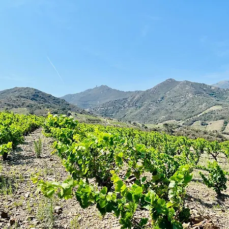 Vue Exceptionnelle Sur La Baie De * Collioure